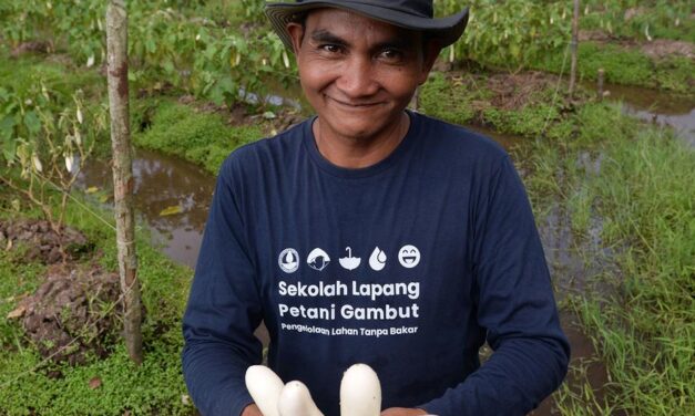 Održiva poljoprivreda u Indoneziji
