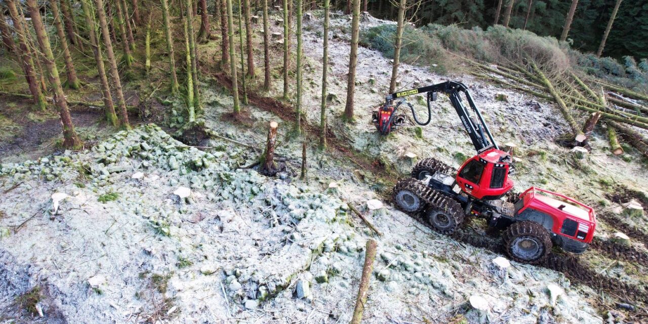 Izgubljeno selo ostrva Skaj otkriveno nakon operacije seče drveća u Glen Britlu