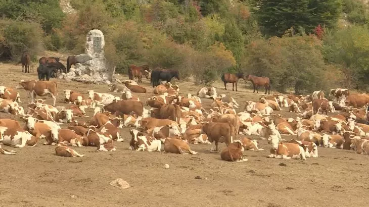 Kamioni, avioni i ostale budalaštine