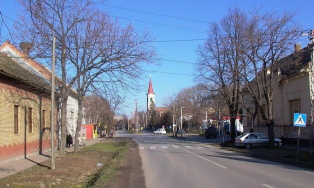 Bačko Petrovo Selo pod terorom