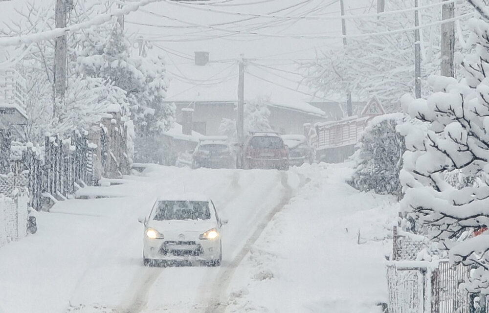 Sneg u januaru, kad mu vreme (ni)je, a bilo je i nedoličnih bahanalija